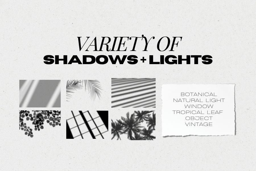 This stunning collection includes 420+ shadow and light overlays and textures that adds realism to your next project. Organized into 15 different packs of window light shadows, botanical shadows, tropical shadows, floral shadows, object shadows, and light shafts for endless design options.